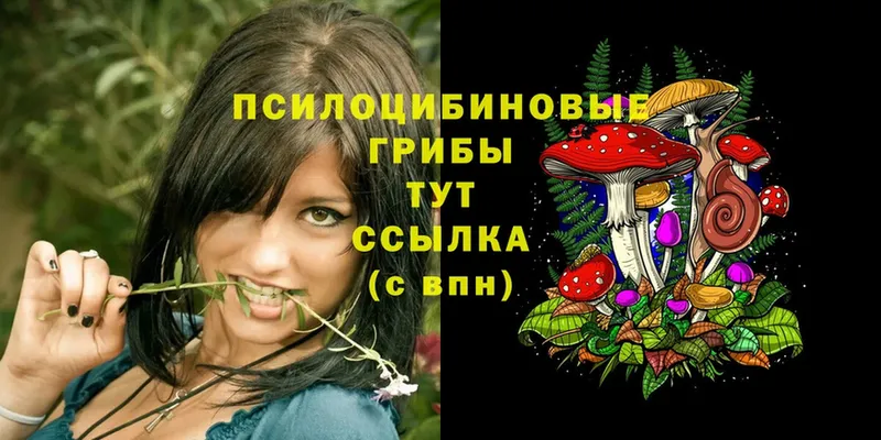 мега сайт  Балахна  Псилоцибиновые грибы MAGIC MUSHROOMS 